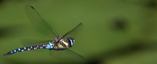 Erweckung und Transformation: Der Beginn einer neuen Wirklichkeit und die Heilung der Seele